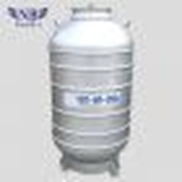 YDS-10 Liquid Nitrogen Gas Cylinder