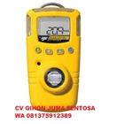 BW Technologies Extrem Single Gas Monitor 1