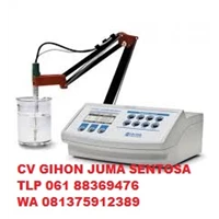 HANNA HI3221 pH/ ORP/ ISE Single Channel Benchtop Meter